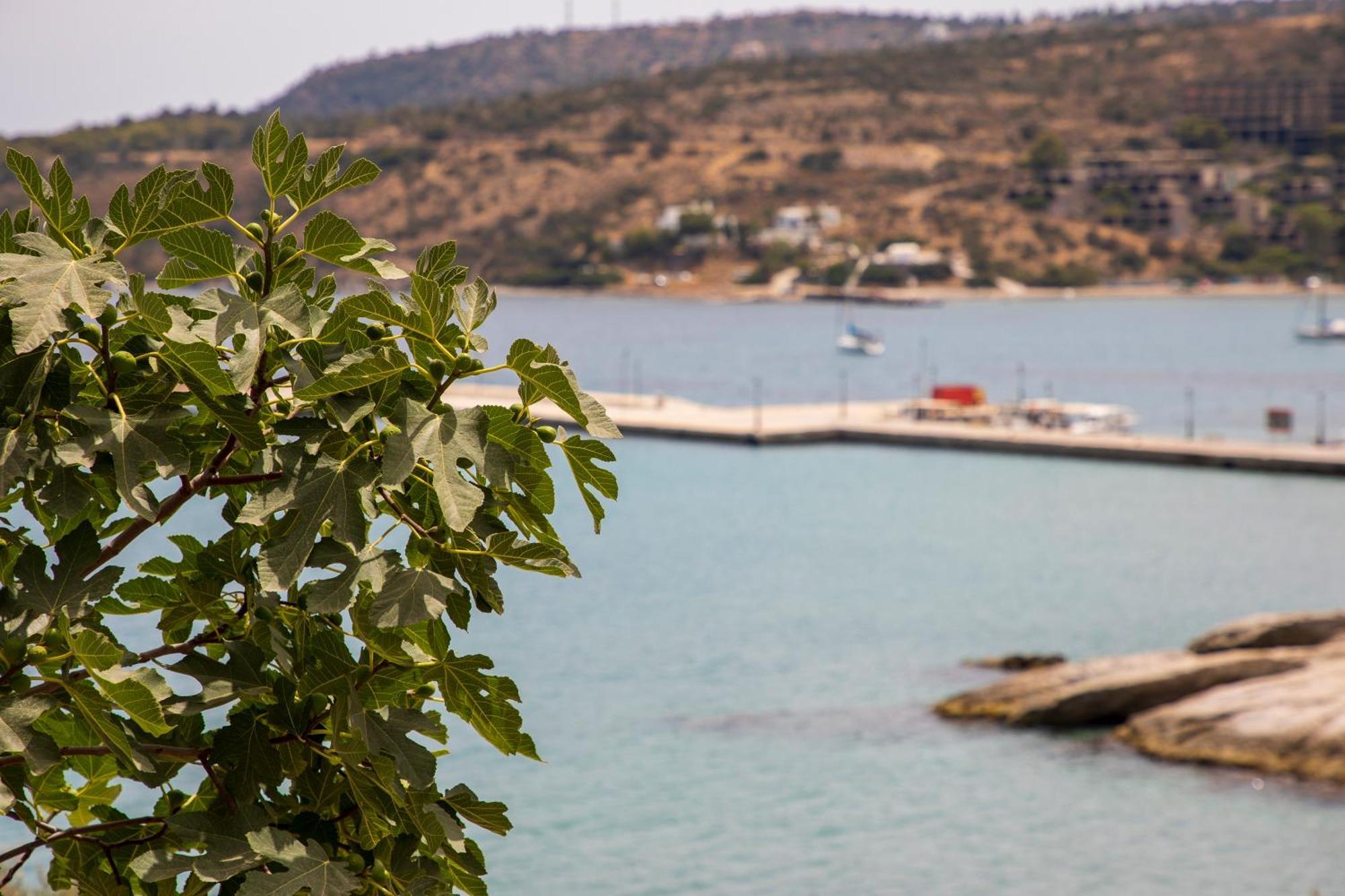 Sea La Vie Villa Agia Marina  Exterior photo